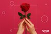 Los 10 mejores potenciadores sexuales femeninos