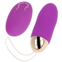CONTROL REMOTO REMOTE VIBRATOR