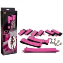 PINCK LEASH