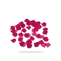 Venta de Petalos De Rosa