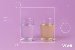 ¿Cuál es la diferencia entre un lubricante anal a base de agua y uno a base de silicona?