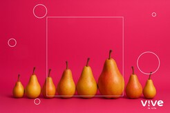 Los 8 mejores Dildos Realistas