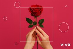 Les meilleurs boosters sexuels féminins