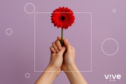 ¿Cuáles son los mejores vibradores de 2026?