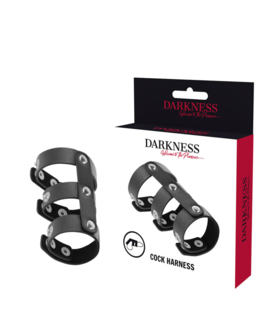 HARNESS TRIPLE Anillo para pene y testículos para excitación