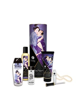 SHUNGA CARNAL PLEASURES