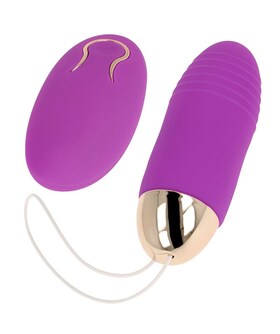 VIBRATEUR TÉLÉCOMMANDÉ REMOTE Oeuf vibrant télécommandé pour couples érotiques