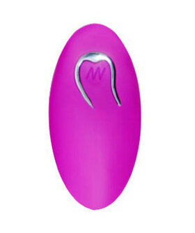 TÉLÉCOMMANDE POUR ŒUF VIBRANT Télécommande de remplacement