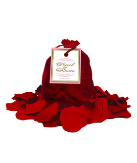 TRAIL OF ROSE Bolsa de pétalos rojos para momento romántico