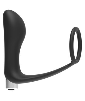 MODEL 1