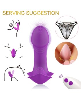 VIBRADOR INTRODUCIBLE WHISTLE Jouet érotique discret avec plusieurs modes de vibration