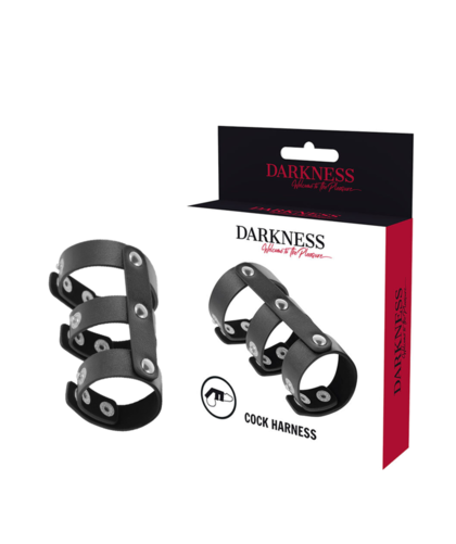 HARNAIS TRIPLE Anneau pour pénis et testicules pour l'excitation