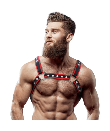 BULLDOG HARNESS Arnés frontal para potenciar imagen y sensualidad