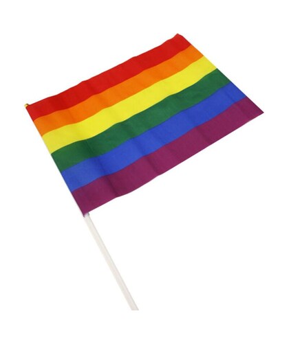 DRAPEAU MOYEN COULEURS BANDE Banderole lgbt aux couleurs vibrantes pour les célébrations