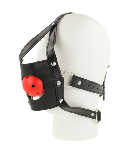 SYNERGY Spice Up Your Nights with Our Exciting Fetish Play Accessory Kit