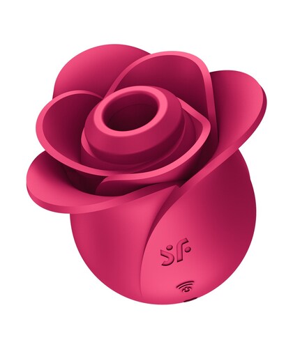 PRO 2 CLASSIC BLOSSOM Discover the ultimate pleasure upgrade with our elegant vibrator! Experience 11 different