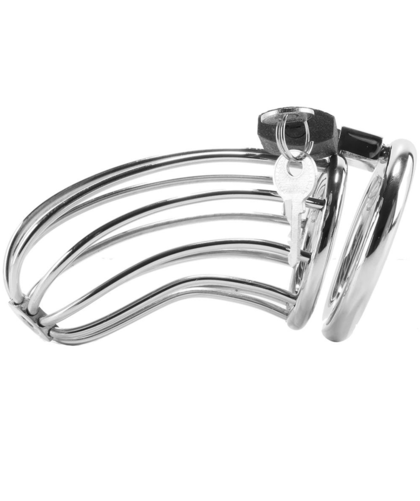 BIRD Steel Chastity Belt for Ultimate BDSM Pleasure Control