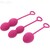 ANABIOSIS PESAS VAGINALES 3 NIVELES BUGAMBILLA nº1