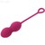 ANABIOSIS PESAS VAGINALES 3 NIVELES BUGAMBILLA nº4