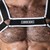 HARNAIS CORPOREL LOOK AT LOCKER GEAR BLANC nº2