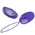 BERGER YOUTH VIOLANT LOEUF TÉLÉCOMMANDE VIOLET nº1