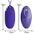 BERGER YOUTH VIOLANT LOEUF TÉLÉCOMMANDE VIOLET nº5