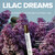 BLOOM PERFUME FEMENINO INDICA LILAC DREAM 30 ML nº2