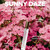 BLOOM PERFUME FEMENINO SATIVA SUNNY DAZE 30 ML nº2