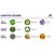 BLOOM SPRAY HABITACIÓN SATIVA EARTHS DESIRE 150 ML nº2