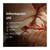 Boomerang vibrador de doble extremo morado #25