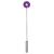 Color Viola