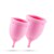 COPOS MENSTRUAIS MINERVA S + L COM BOLSA E LIMPADOR DE BRINQ