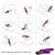 VIBRADOR ETERNITY SILICONE ROXO nº1