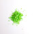 Caramelos Explosivos Sexo Oral Popping Candies Unidad Sabor