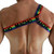 MACHO - ARNES ROMANO PRIDE S/M nº1