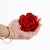 PLUG ANALE ROSALINE CON ROTAZIONE E TELECOMANDO A DISTANZA C