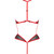 SATARA BODY EROTIC LINE ROJO L/XL nº3