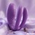 Twinx Vibrador para Parejas con Tapping nº8