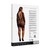 VESTIDO ROXY SEXY LEOPARD MESH TAMANHO QUEEN LE DÉSIR nº2