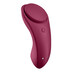 Satisfyer Sexy Secret Panty