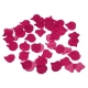 100 Petalos Color Fuscia