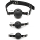 Ball Gag Training System