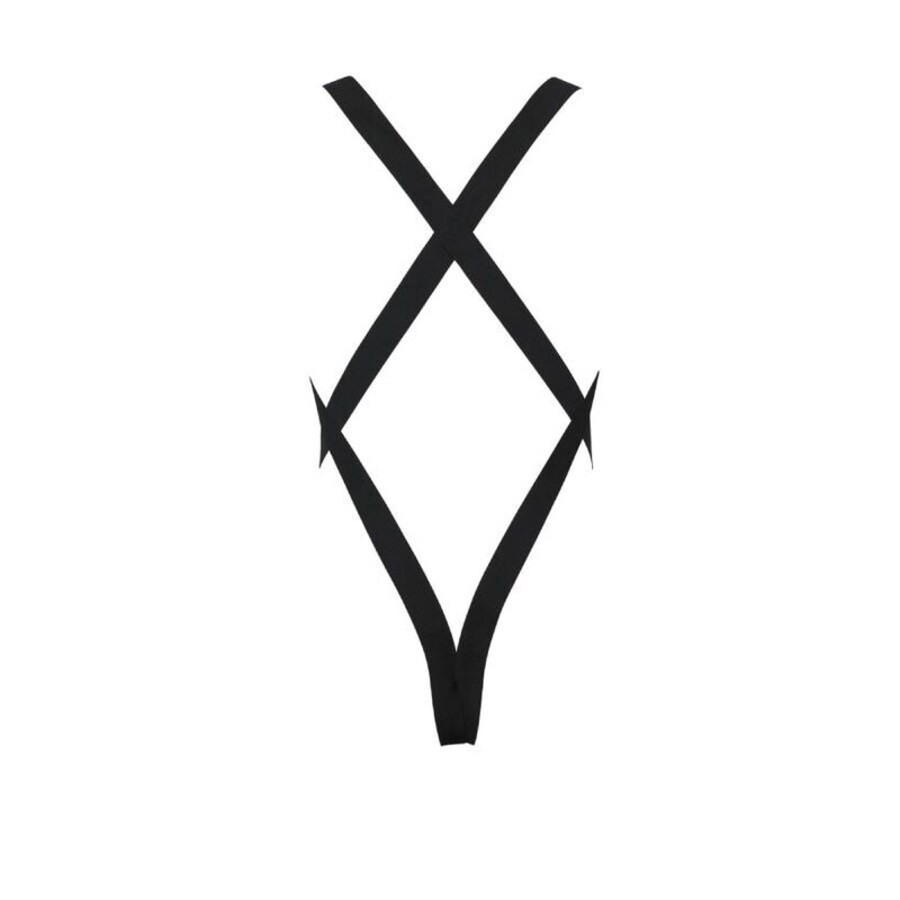 LION 6