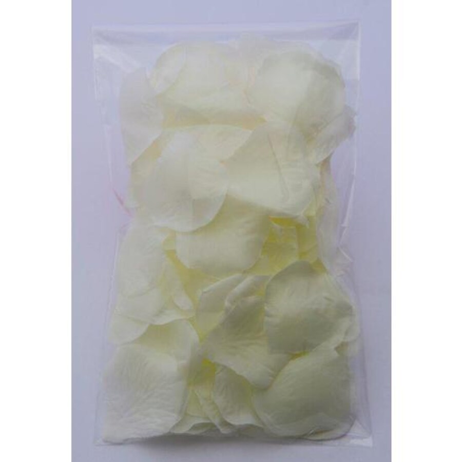 100 PETALOS COLOR FUSCIA 2