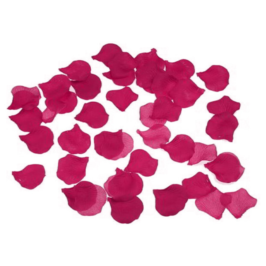 100 PETALOS COLOR FUSCIA 1