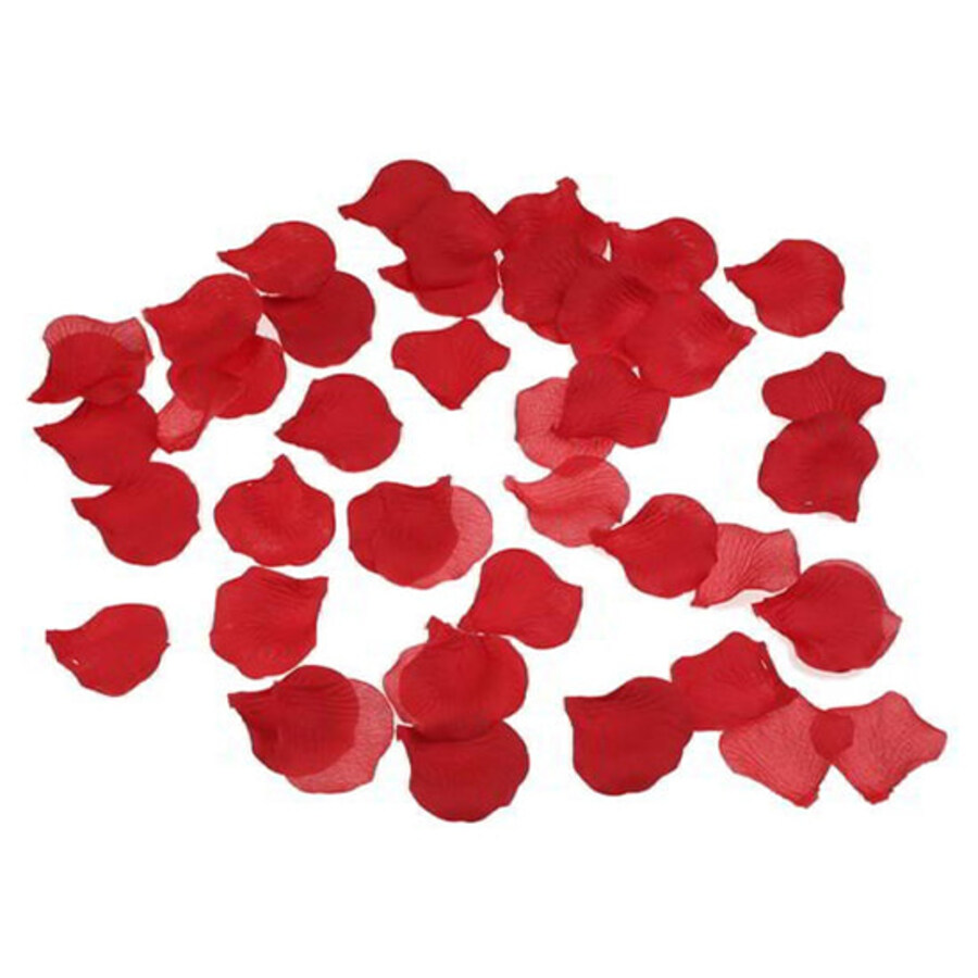 100 petalos color rojo