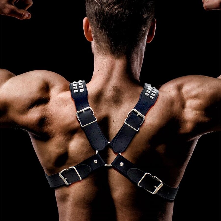 ADONIS CHEST HARNESS 2