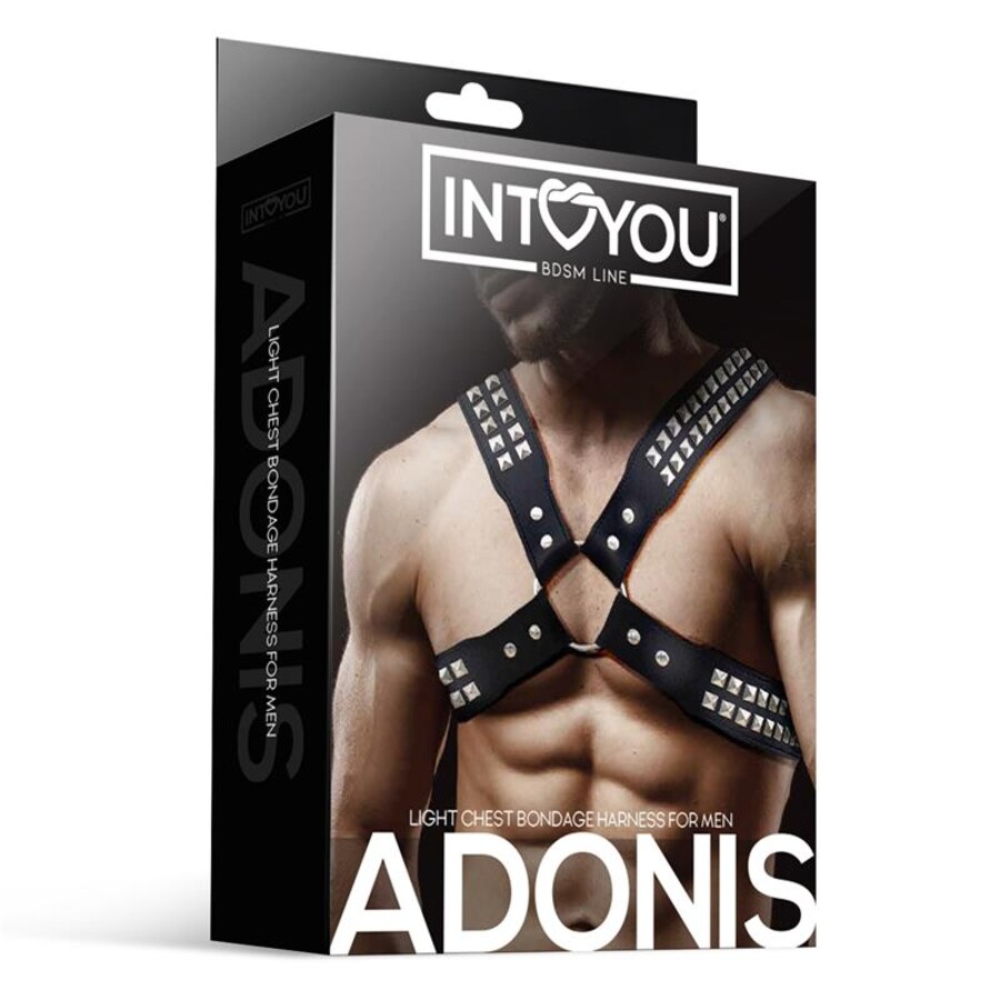 ADONIS CHEST HARNESS 3