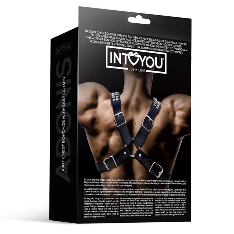 ADONIS CHEST HARNESS 4