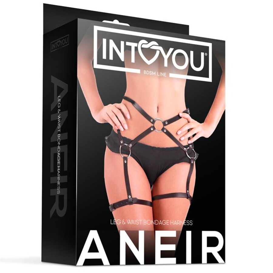 ANEIR ARNES AJUSTABLE 3